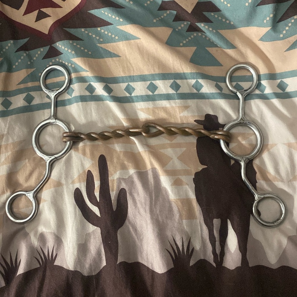Jr cow horse twisted wire bit